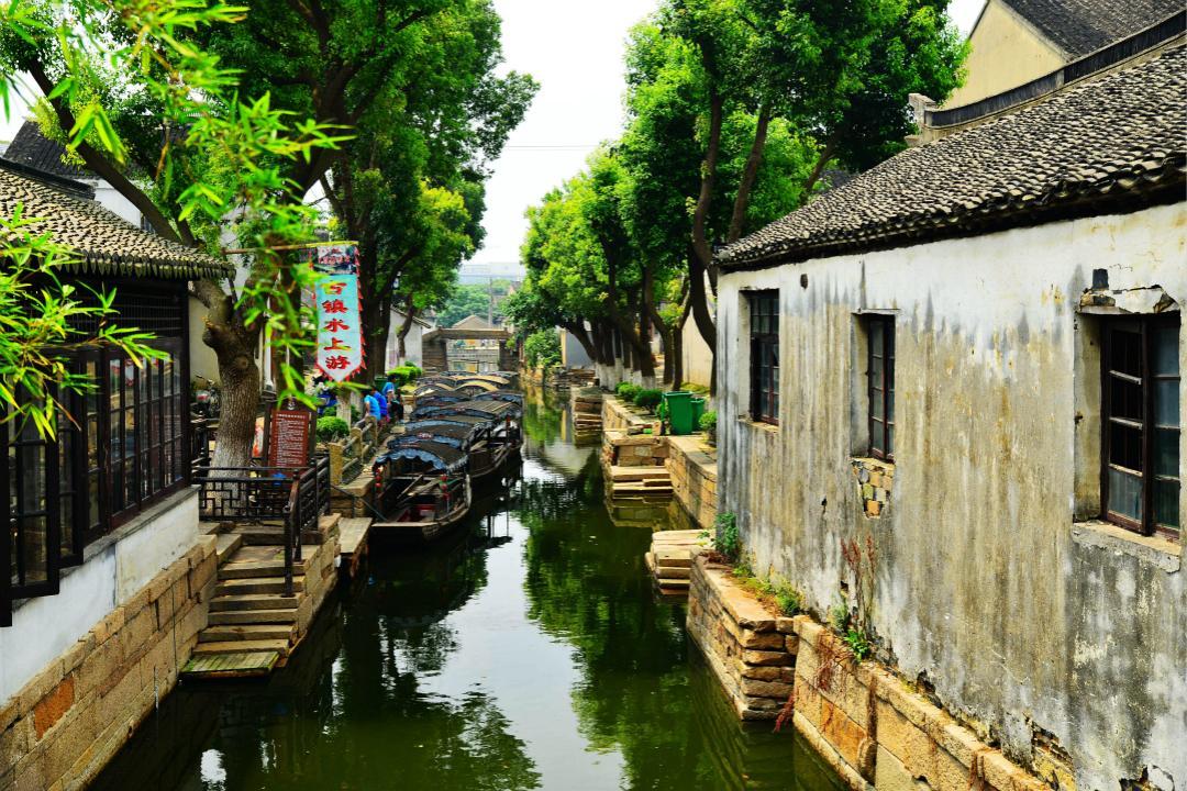 救援鹦鹉